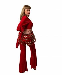 Miss Belly Dance Belly Dance Lycra Harem Pants, Top & Hip Scarf Costume Set | Raqs Choli 2 BELLY DANCE COSTUMES