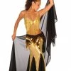 Miss Belly Dance COMBO SETS Belly Dance Bra And Skirt Costume Set | FROLICK IN FRINGE