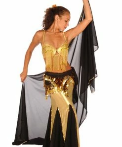 Miss Belly Dance COMBO SETS Belly Dance Bra And Skirt Costume Set | FROLICK IN FRINGE