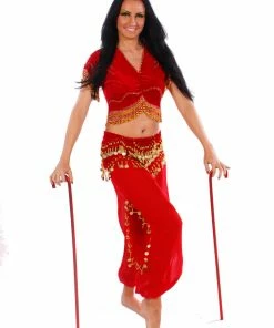Miss Belly Dance Belly Dance Top & Harem Pants Costume Set