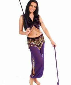 Miss Belly Dance Belly Dance Top & Harem Pants Costume Set