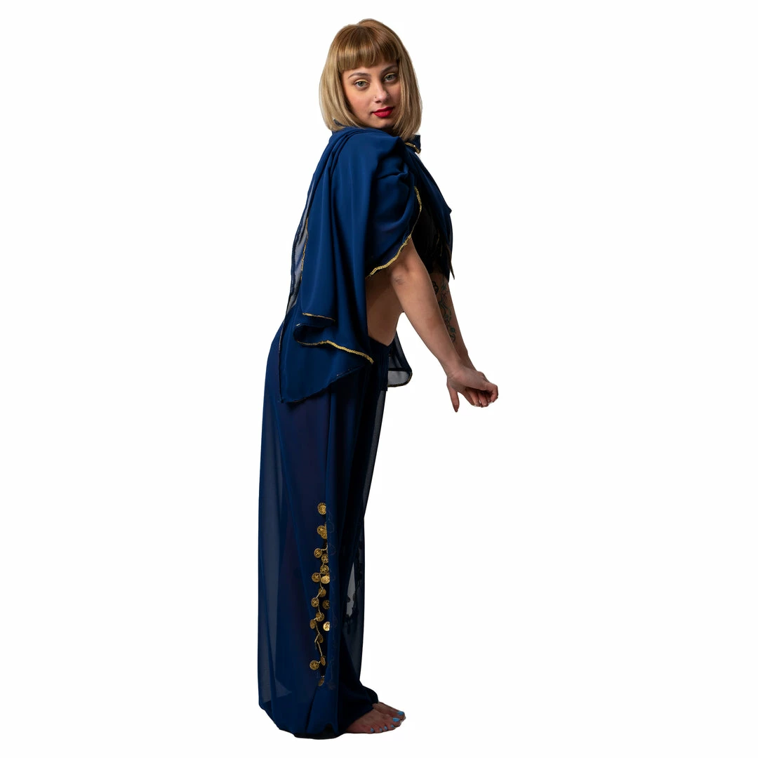 Miss Belly Dance Bellydancer Chiffon Harem Pants With Side Slits | MAIDEN DANCE BOTTOMS 15 Miss Belly Dance Bellydancer Chiffon Harem Pants With Side Slits | MAIDEN DANCE BOTTOMS