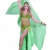 Miss Belly Dance BELLY DANCE COSTUMES Belly Dance Professional Bra & Belt Costume Set