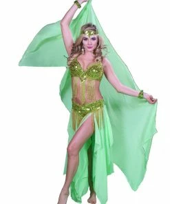 Miss Belly Dance BELLY DANCE COSTUMES Belly Dance Professional Bra & Belt Costume Set