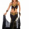 Miss Belly Dance Belly Dance Professional Bra & Belt Costume Set BELLY DANCE COSTUMES