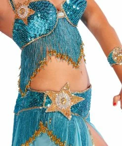 Miss Belly Dance Belly Dance Professional Bra & Belt Costume Set BELLY DANCE COSTUMES