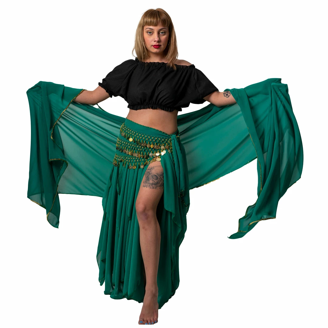 Miss Belly Dance BOTTOMS Belly Dance 13 Panel Chiffon Skirt 21 Miss Belly Dance BOTTOMS Belly Dance 13 Panel Chiffon Skirt