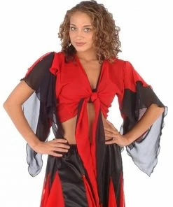 Miss Belly Dance Belly Dance Chiffon 2-Color Choli Top | TOURNE AND SWIRL Choli Tops