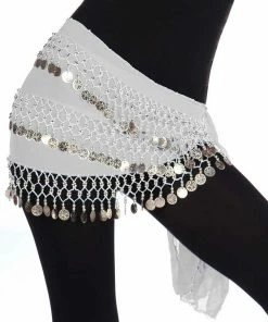 Miss Belly Dance Belly Dance Chiffon 3 Straight Rows Hip Scarf | TURKISTANI BOTTOMS