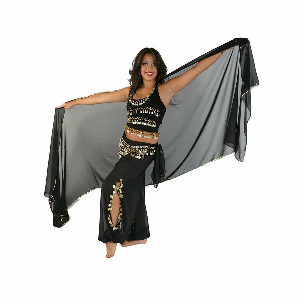 Miss Belly Dance Belly Dance Chiffon Harem Pants, Top, Hip Scarf & Veil Costume Set | FESTIVAL FLAIR BELLY DANCE COSTUMES 2 Miss Belly Dance Belly Dance Chiffon Harem Pants, Top, Hip Scarf & Veil Costume Set | FESTIVAL FLAIR BELLY DANCE COSTUMES