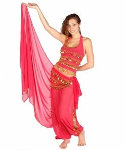 Miss Belly Dance Belly Dance Chiffon Harem Pants, Top, Hip Scarf & Veil Costume Set | FESTIVAL FLAIR BELLY DANCE COSTUMES 7 Miss Belly Dance Belly Dance Chiffon Harem Pants, Top, Hip Scarf & Veil Costume Set | FESTIVAL FLAIR BELLY DANCE COSTUMES