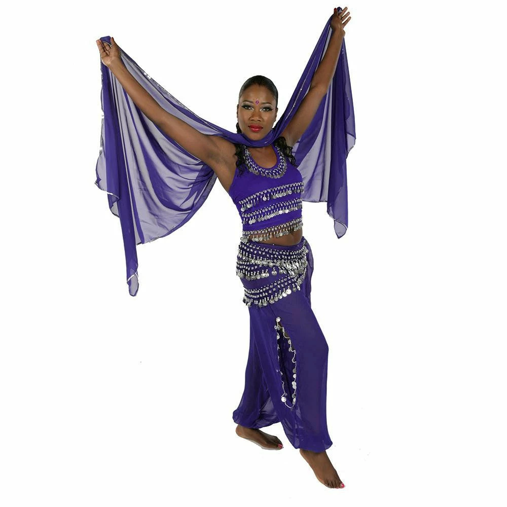 Miss Belly Dance Belly Dance Chiffon Harem Pants, Top, Hip Scarf & Veil Costume Set | FESTIVAL FLAIR BELLY DANCE COSTUMES 4 Miss Belly Dance Belly Dance Chiffon Harem Pants, Top, Hip Scarf & Veil Costume Set | FESTIVAL FLAIR BELLY DANCE COSTUMES