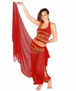 Miss Belly Dance Belly Dance Chiffon Harem Pants, Top, Hip Scarf & Veil Costume Set | FESTIVAL FLAIR BELLY DANCE COSTUMES 9 Miss Belly Dance Belly Dance Chiffon Harem Pants, Top, Hip Scarf & Veil Costume Set | FESTIVAL FLAIR BELLY DANCE COSTUMES