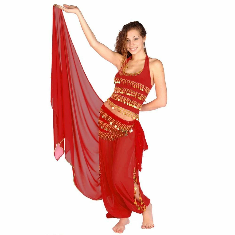 Miss Belly Dance Belly Dance Chiffon Harem Pants, Top, Hip Scarf & Veil Costume Set | FESTIVAL FLAIR BELLY DANCE COSTUMES 5 Miss Belly Dance Belly Dance Chiffon Harem Pants, Top, Hip Scarf & Veil Costume Set | FESTIVAL FLAIR BELLY DANCE COSTUMES