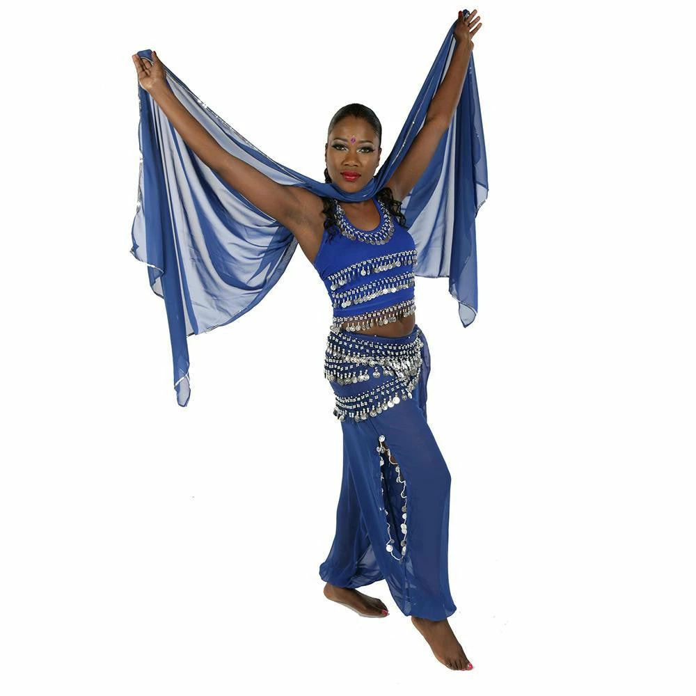 Miss Belly Dance Belly Dance Chiffon Harem Pants, Top, Hip Scarf & Veil Costume Set | FESTIVAL FLAIR BELLY DANCE COSTUMES 1 Miss Belly Dance Belly Dance Chiffon Harem Pants, Top, Hip Scarf & Veil Costume Set | FESTIVAL FLAIR BELLY DANCE COSTUMES