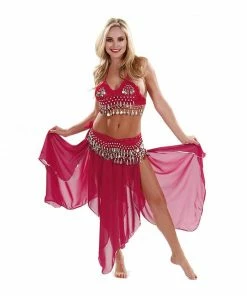 Miss Belly Dance Belly Dance Chiffon Skirt, Top, & Hip Scarf Costume Set | PASSIONATE PERSUASION