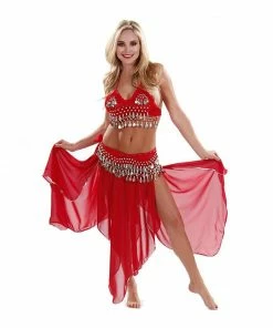 Miss Belly Dance Belly Dance Chiffon Skirt, Top, & Hip Scarf Costume Set | PASSIONATE PERSUASION