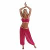 Miss Belly Dance BELLY DANCE COSTUMES Belly Dance Chiffon Top & Harem Pants Costume Set | DREAM IT