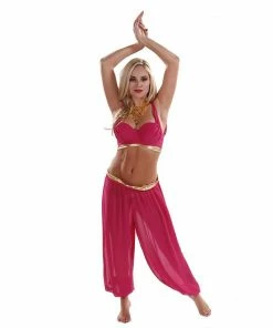 Miss Belly Dance BELLY DANCE COSTUMES Belly Dance Chiffon Top & Harem Pants Costume Set | DREAM IT
