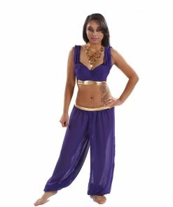 Miss Belly Dance BELLY DANCE COSTUMES Belly Dance Chiffon Top & Harem Pants Costume Set | DREAM IT