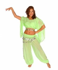 Miss Belly Dance Belly Dance Harem Pant, Hip Scarf, & Bell Sleeve Top Costume Set | SURREAL BELLY DANCE COSTUMES