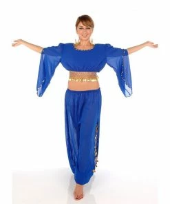 Miss Belly Dance Belly Dance Harem Pant, Hip Scarf, & Bell Sleeve Top Costume Set | SURREAL BELLY DANCE COSTUMES