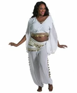 Miss Belly Dance Belly Dance Harem Pant, Hip Scarf, & Bell Sleeve Top Costume Set | SURREAL BELLY DANCE COSTUMES