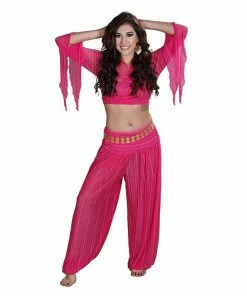 Miss Belly Dance BELLY DANCE COSTUMES Belly Dance Harem Pants & Choli Top Costume Set | SHEER HAREM