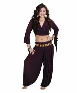 Miss Belly Dance BELLY DANCE COSTUMES Belly Dance Harem Pants & Choli Top Costume Set | SHEER HAREM