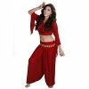 Miss Belly Dance BELLY DANCE COSTUMES Belly Dance Harem Pants & Choli Top Costume Set | SHEER HAREM