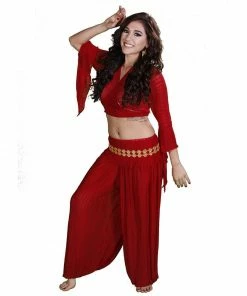 Miss Belly Dance BELLY DANCE COSTUMES Belly Dance Harem Pants & Choli Top Costume Set | SHEER HAREM