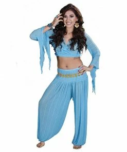 Miss Belly Dance BELLY DANCE COSTUMES Belly Dance Harem Pants & Choli Top Costume Set | SHEER HAREM