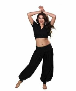 Miss Belly Dance Belly Dance Harem Pants & Choli Top Costume Set | THE BELLY BASIC BELLY DANCE COSTUMES