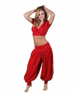 Miss Belly Dance Belly Dance Harem Pants & Choli Top Costume Set | THE BELLY BASIC BELLY DANCE COSTUMES