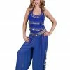 Miss Belly Dance BELLY DANCE COSTUMES Belly Dance Harem Pants & Halter Top Costume Set | SADIQA II