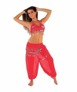 Miss Belly Dance Belly Dance Harem Pants & Halter Top Costume Set | THE HAREM DANCER