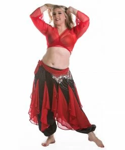 Miss Belly Dance Belly Dance Harem Pants W/ Chiffon Flakes, Choli Top, & Hip Scarf | LAYLAT JAMILA BELLY DANCE COSTUMES