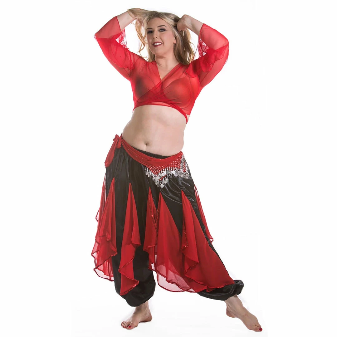 Miss Belly Dance Belly Dance Harem Pants W/ Chiffon Flakes, Choli Top, & Hip Scarf | LAYLAT JAMILA BELLY DANCE COSTUMES 1 Miss Belly Dance Belly Dance Harem Pants W/ Chiffon Flakes, Choli Top, & Hip Scarf | LAYLAT JAMILA BELLY DANCE COSTUMES