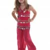 Miss Belly Dance Belly Dance Kids Top & Harem Pants Costume Set | RAQUIN RIGHT