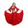Miss Belly Dance BELLY DANCE COSTUMES Belly Dance Lace Bra, Skirt, & Net Scarf Costume Set | ROMA ELEGANCE