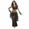 Miss Belly Dance BELLY DANCE COSTUMES Belly Dance Lace Pants, Top, & Bustle Costume Set | EGL BELLE RAQS
