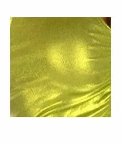 Miss Belly Dance TOPS Belly Dance Lycra Choli Top | CHELA CHOLI