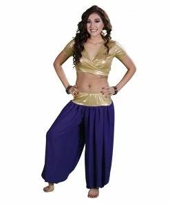 Miss Belly Dance Belly Dance Lycra Choli Top With Chiffon Harem Pants Costume Set | BELLY DANCE COSTUMES