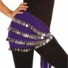 Miss Belly Dance Belly Dance Multi-Row Chiffon Hip Scarf | THE YASMINA BOTTOMS