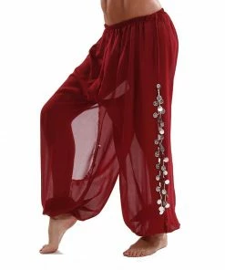 Miss Belly Dance Belly Dance Plus Size Chiffon Harem Pants With Side Slits | MAIDEN DANCE PLUS