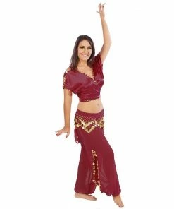Miss Belly Dance Belly Dance Satin Top, Chiffon Harem Pants, & Hip Scarf Costume Set | SHINING SHOWCASE