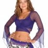 Miss Belly Dance TOPS Belly Dance Sheer Chiffon Choli Top