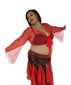 Miss Belly Dance TOPS Belly Dance Sheer Chiffon Choli Top