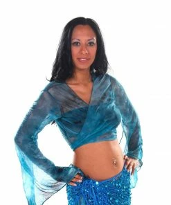 Miss Belly Dance TOPS Belly Dance Sheer Pattern Choli Top | D'OR ANDA
