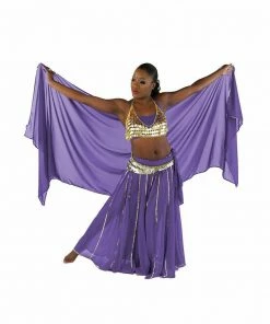 Miss Belly Dance Belly Dance Skirt, Bra, Veil & Hip Scarf Costume Set | STARGAZER BELLY DANCE COSTUMES